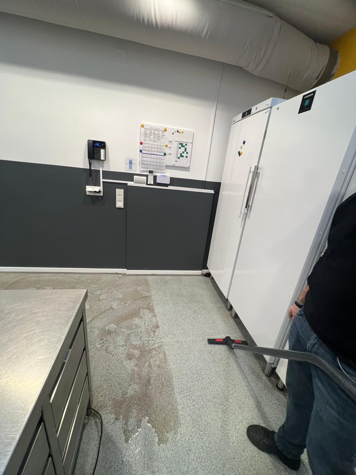 Gebaeudereinigung im laufenden Betrieb mit sauberer, strukturierter Ausfuehrung Foto 15